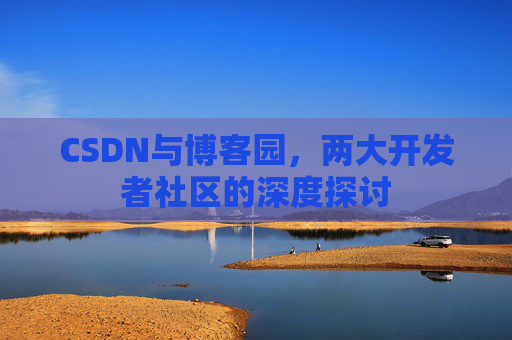 CSDN与博客园，两大开发者社区的深度探讨